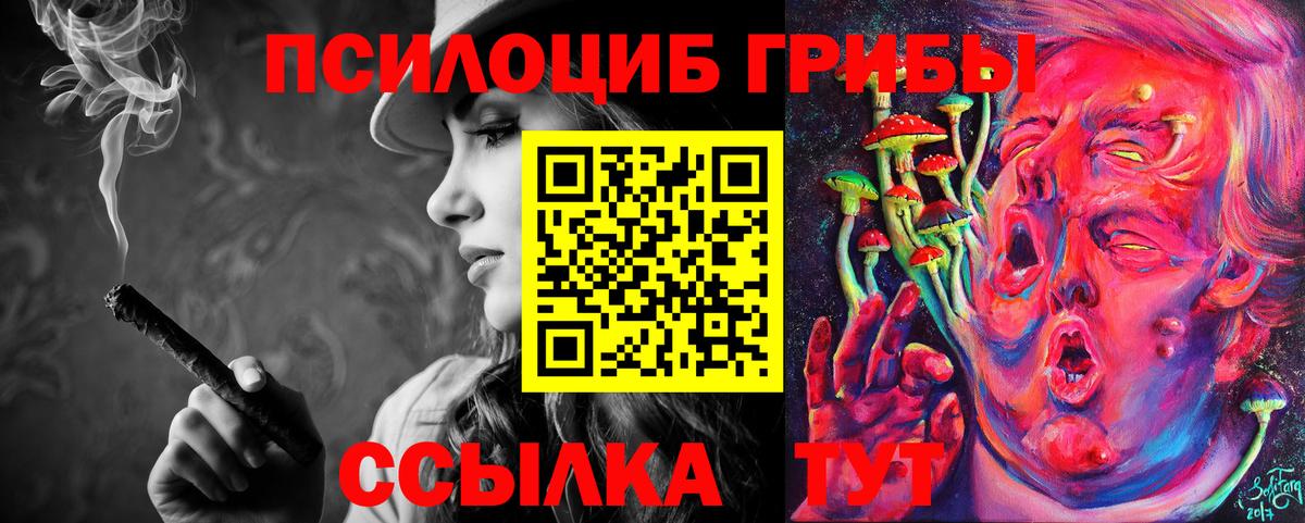 Псилоцибиновые грибы мухоморы Сокол