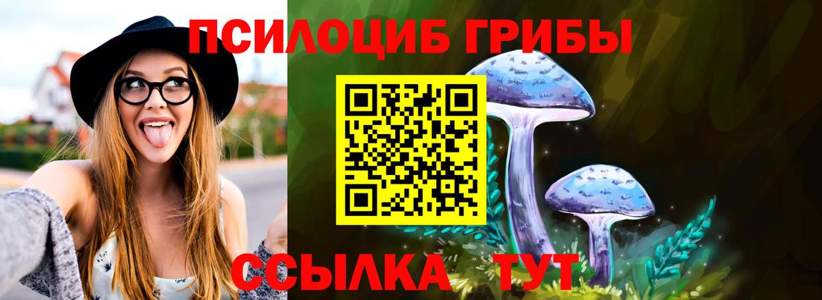Сокол  Псилоцибиновые грибы MAGIC MUSHROOMS  Вход с VPN 